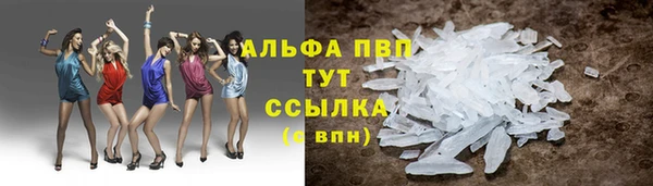 СК Магадан
