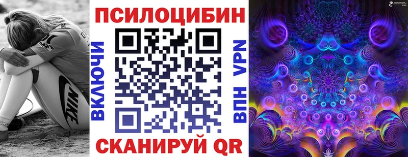 Галлюциногенные грибы Psilocybine cubensis  Полысаево 